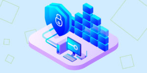 Introducing On-Premises Low-Code  Platform:  Reify OnSite